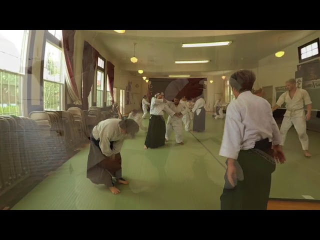 Aikido v01 VR180