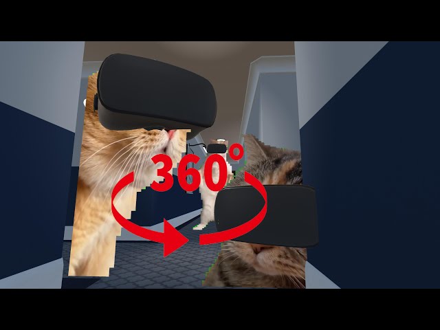 Experience cat memes in VR “Cat Memes” 【360°】 #memes