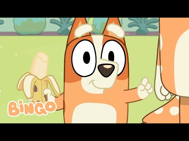 Bingo at the Zoo 🍌 🧡 | Bluey Season 1 - Zoo | Bingo - Official Channel