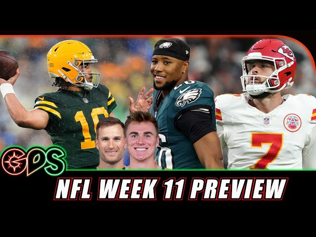 Perfect Season Over? NFL Week 11 Preview