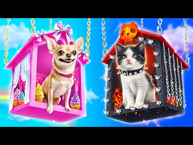 Good Dog vs Bad Cat! How to Make Pet Houses!