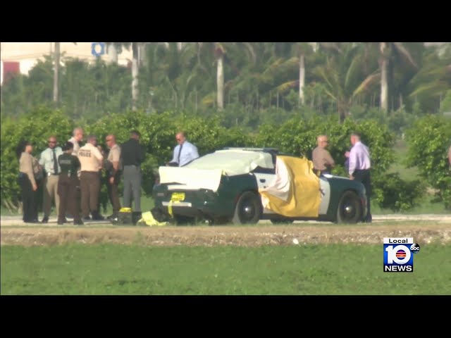 Broward deputy found dead in suspected suicide