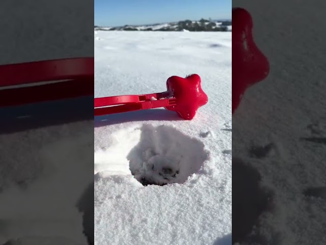 Snowball fight but make it aesthetic 💫 #satisfying #snow