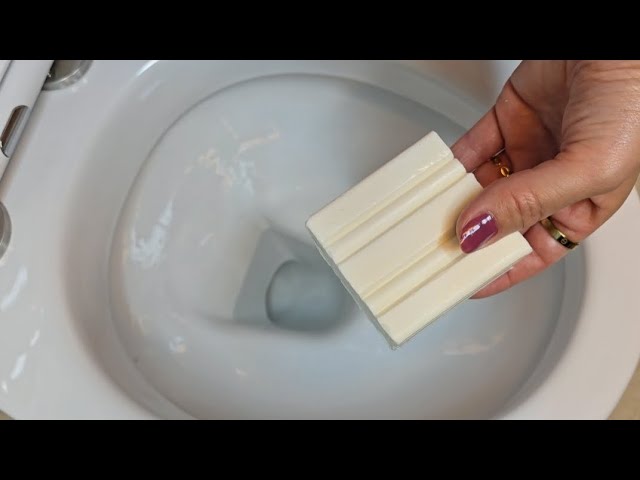 Put some soap in the toilet, it won't get dirty or smelly without brushing it for half a year