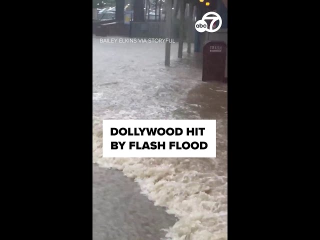 Dollywood hit with flash flood