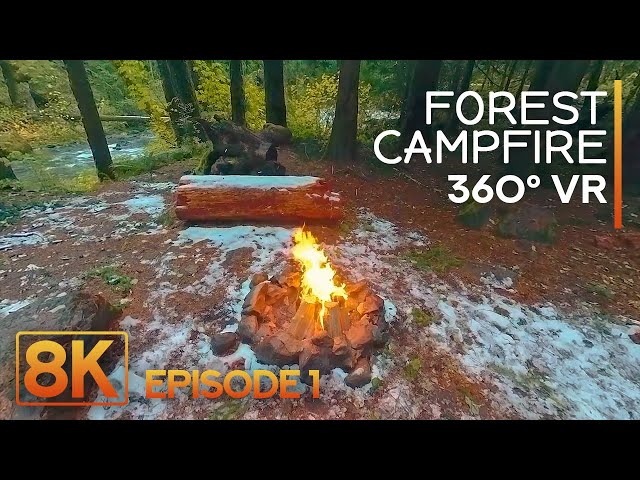 Forest Campfire 8K 360 Virtual Experience - Relaxing Crackling Sounds at Skate Creek Area