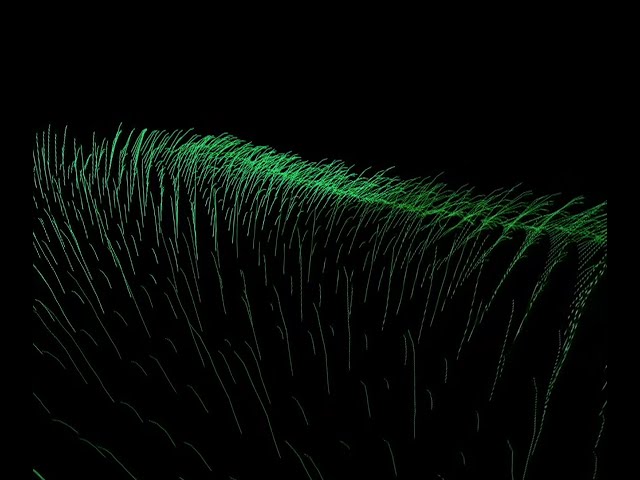 Study90 - "Grass Grow" - VR180 4K 3D Stereoscopic Visual Music by @tdvr