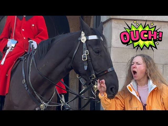 Horse Bites Her Arm