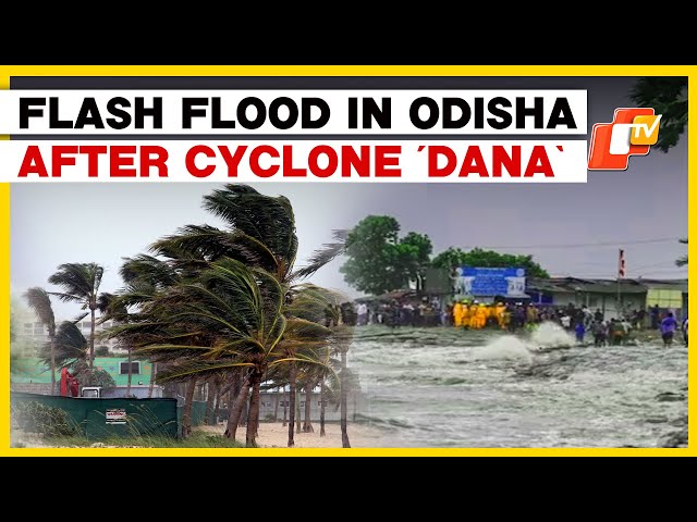 Cyclone Dana Impact | Torrential Rains Cause Flash Flood In Several Parts Of Odisha