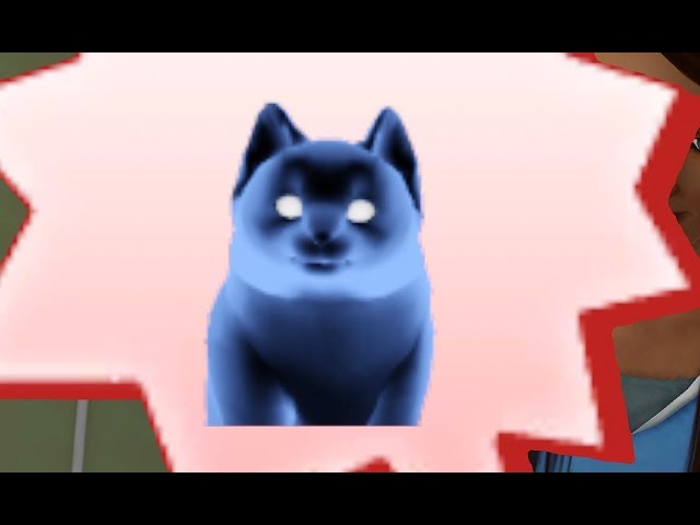 The Sims 3 Pets: The Neighbor's Cat Dies by old age