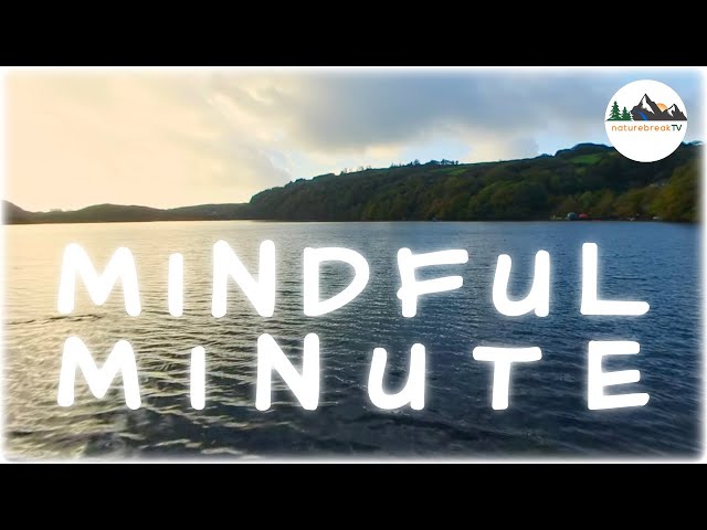 chill at LOUGH HYNE 🌊 VR180 nature meditation to DE-STRESS