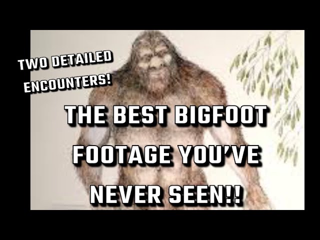 Bigfoot Video Compilation with Added Eyewitness commentary #bigfoot #yeti #sasquatch #bigfootisreal