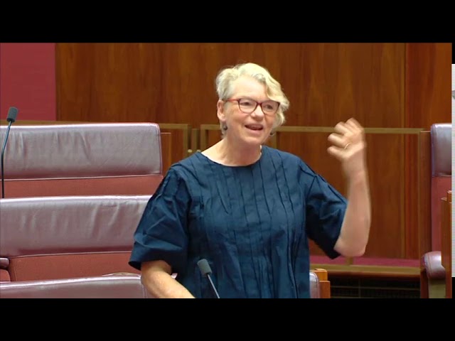 Senator Janet Rice - Transport Security Bill #auspol