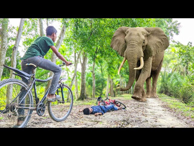 ELEPHANT ATTACKs Village Boy In Indian Road | Elephant Attack Cycling Boy | Fun Made Movie Part 25