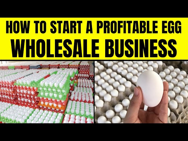 How to Start an Egg Distribution Business - Earn $5,000/Month with Egg Wholesale