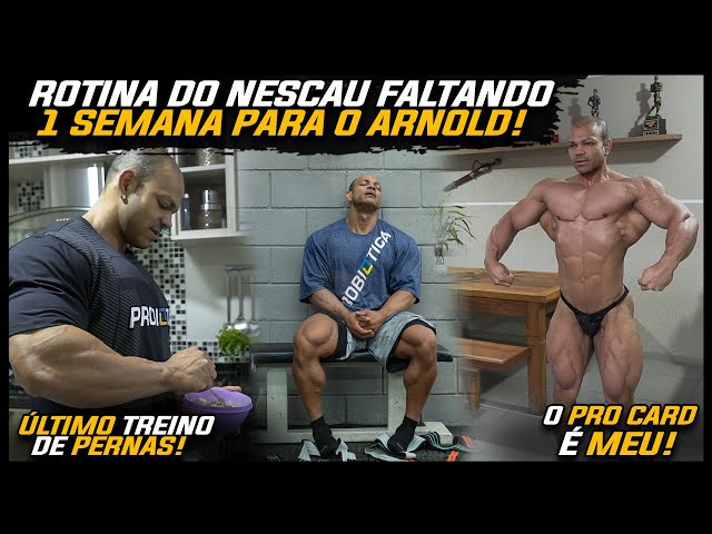 ÚLTIMA SEMANA PARA O ARNOLD | NESCAU ESTÁ INCRÍVEL! ACOMPANHAMOS A ROTINA | FABRICIO PACHOLOK