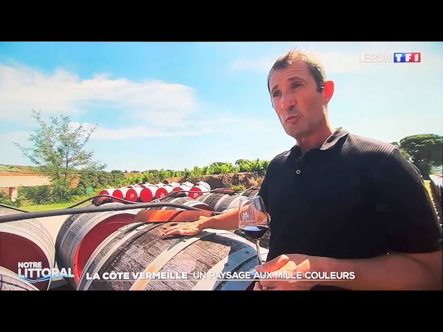 Reportage TF1 - La Côte Vermeille, un paysage aux mille couleurs