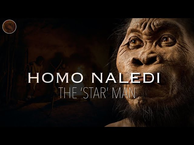 Homo Naledi: The 'Star Man' | Prehistoric Humans Documentary