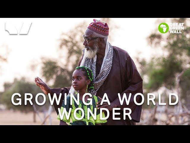 Growing A World Wonder - 360 Short Documentary