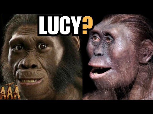 WARNING Australopithecus Species Facts That Are Mind-Blowing!