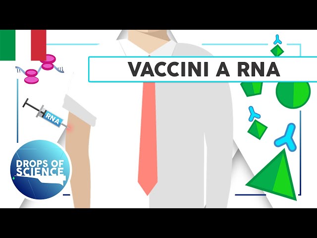 Vaccini a RNA: Cosa sono? E come funzionano?