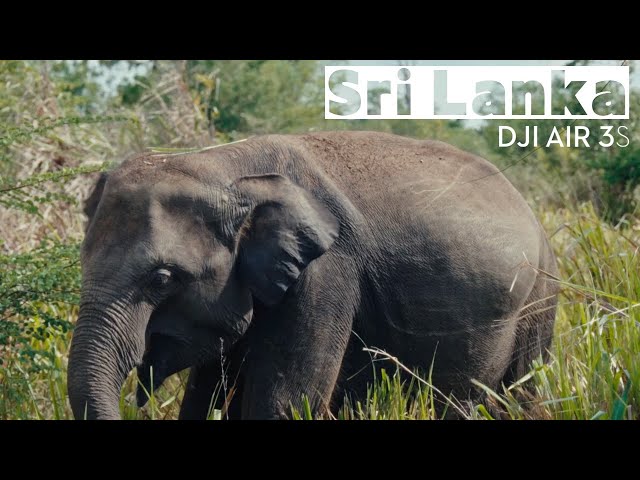 DJI Air 3S | Welcome to Sri Lanka