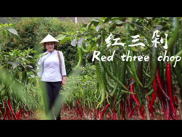 I picked some red chili and tomatoes to make a red Yunnan home-cooking dish: Red Three Chops