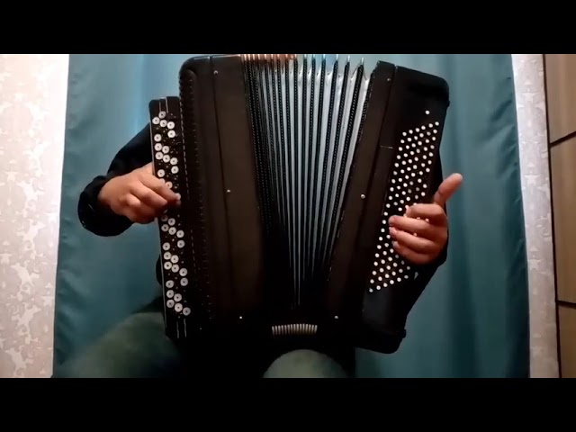 Converter Free Bass Button Accordion Yasnaya Polyana, Professional Russian Bayan, Solid Reeds plates