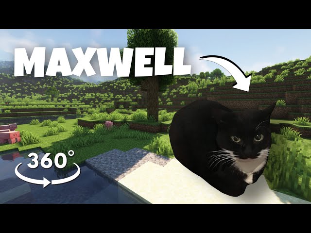 Maxwell Cat In Minecraft! (360 degree POV)