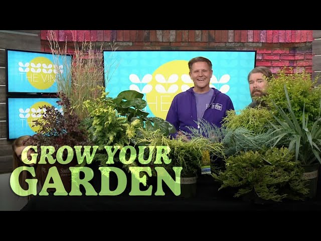 The best evergreen plants & annuals for fall | Grow Your Garden w/ Chris H. Olsen