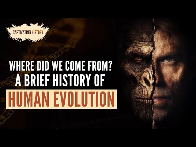 Where Did We Come From: A Brief History of Human Evolution