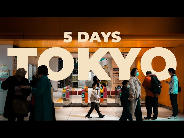 5 Days in Tokyo 🇯🇵  Japan Travel Vlog