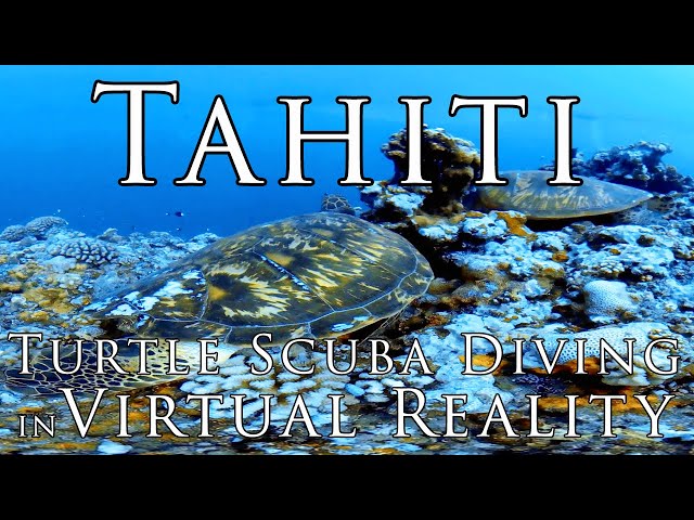 Tahiti in VR - Scuba Diving with Turtles in Virtual Reality 5.7k 360º