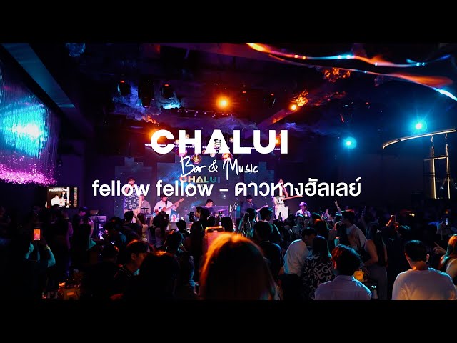 fellow fellow - ดาวหางฮัลเลย์  Live at Chalui Bar & Music