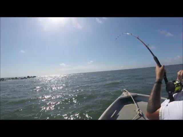 Jacksonville Florida fishing at the Mayport Jetties