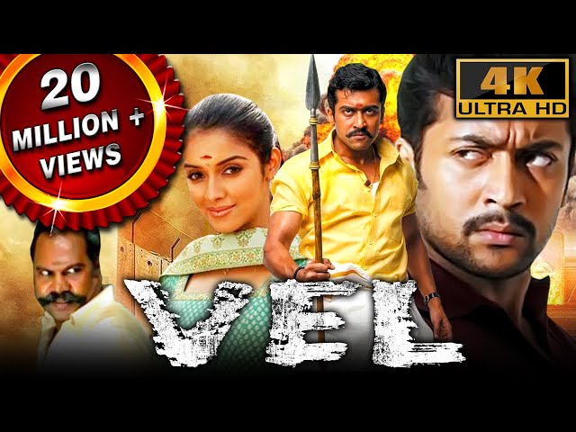 Vel (4K ULTRA HD) - Full Movie | Suriya, Asin, Vadivelu, Kalabhavan Mani, Lakshmi, Saranya Ponvannan