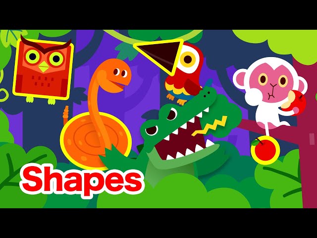 Learn Shapes in the Jungle | Pinkfong Shape Songs | 15-Minute Learning with Baby Shark