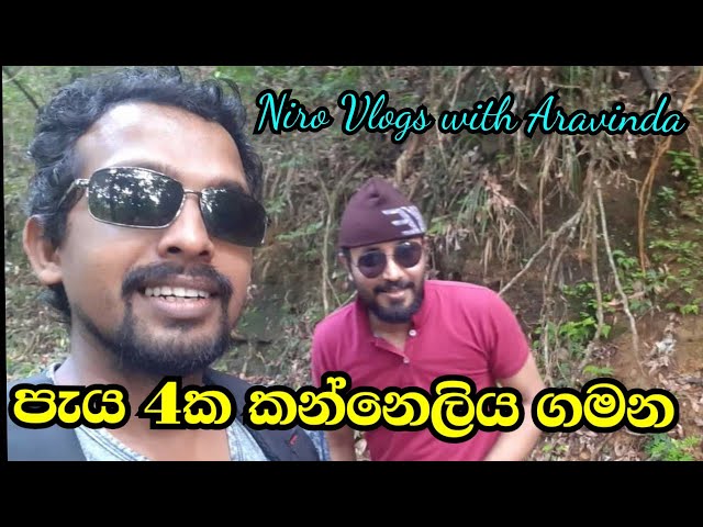 Kanneliya Forest Reserve hiking  | Niro Vlogs with Aravinda