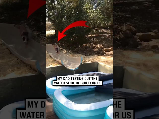 Backyard Slide Safety Test … Bribe Seals the Deal 🛝💵 #shorts #comedy #funny #slidefail #viralvideo