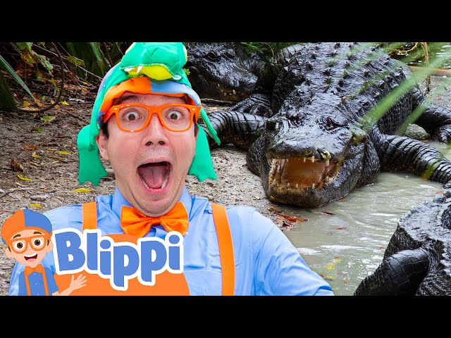 Blippi's Spooky Alligator Trick-or-Treat Adventure! 🎃🐊🕸️ | Fun Halloween Educational Videos for Kids