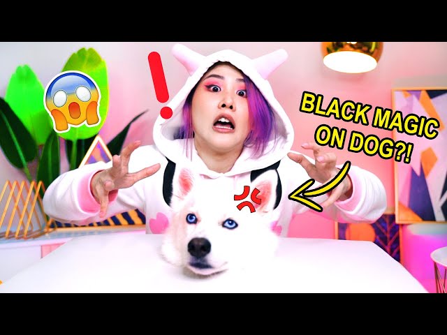 I used BLACK MAGIC on MY DOG to predict 2021?! **AND-I-OOP** - TOTM #17 | MiniMoochi