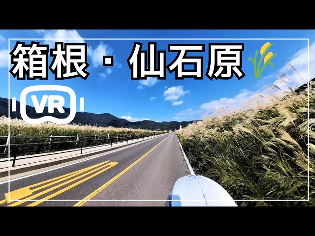 【VR】 Hakone Sengokuhara🚴(Weekend in mid-October 2024)