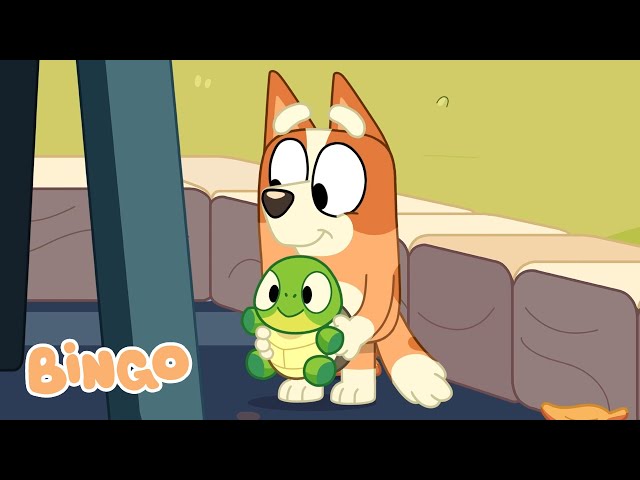 Bingo and Turtleboy 🐢 🧡 | Season 3 Highlight - Turtleboy | Bingo - Official Channel