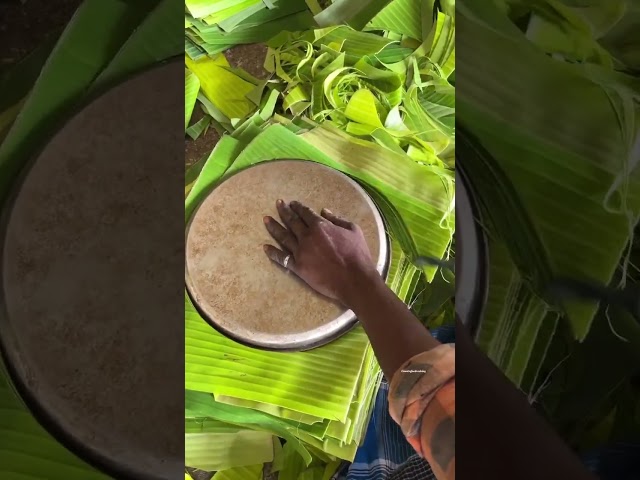 Making of plate of banana 🍃 leaf #banana#banana #bananaleaf