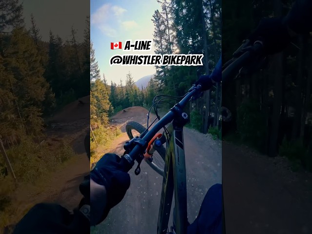 🇨🇦 Daydreamin‘ of A-Line #whistlerbikepark #freeridemtb #mtb #gopropov