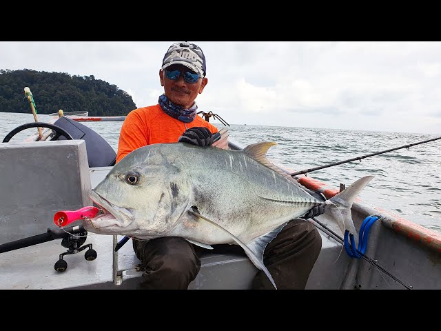 The Giant TREVALLY on heavy baitcast system