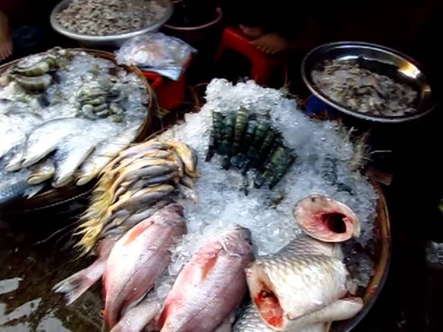 Chinatown Market in Yangon Myanmar Burma Seafood Fish Crabs Prawns - Phil in Bangkok