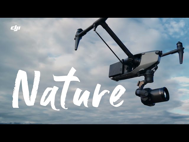 DJI Inspire 3 | Nature In Detail