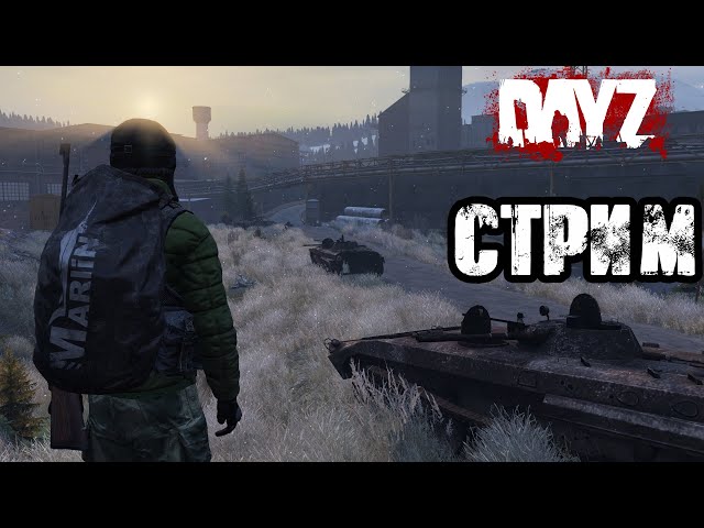 DAYZ | АТМОСФЕРНОЕ ВЫЖИВАНИЕ В СОЛО! VK lIVE СТРИМЫ, ECЛИ ЮТУБ НЕ РОБИТ!