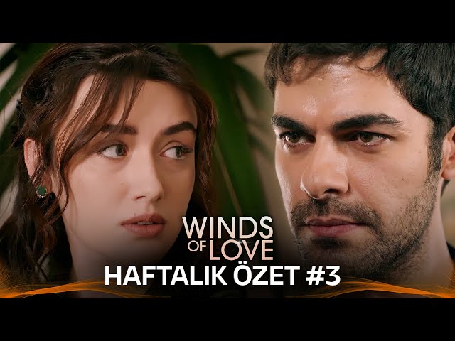 Winds of Love Weekly Summary #3 | Rüzgarlı Tepe Haftalık Kolaj #3